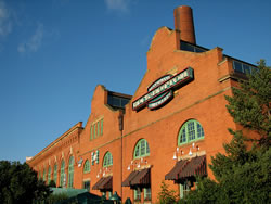 The Brew Kettle